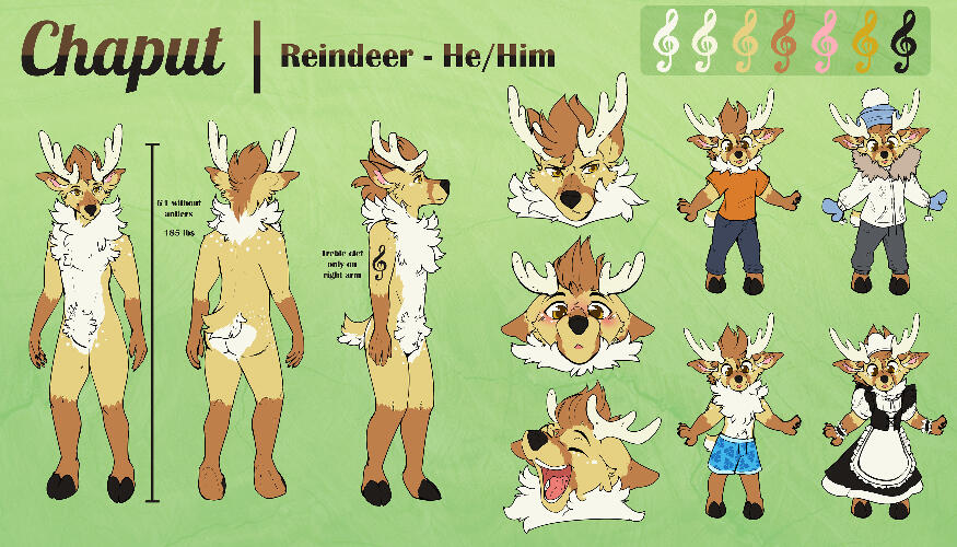 Detailed Ref Sheet
